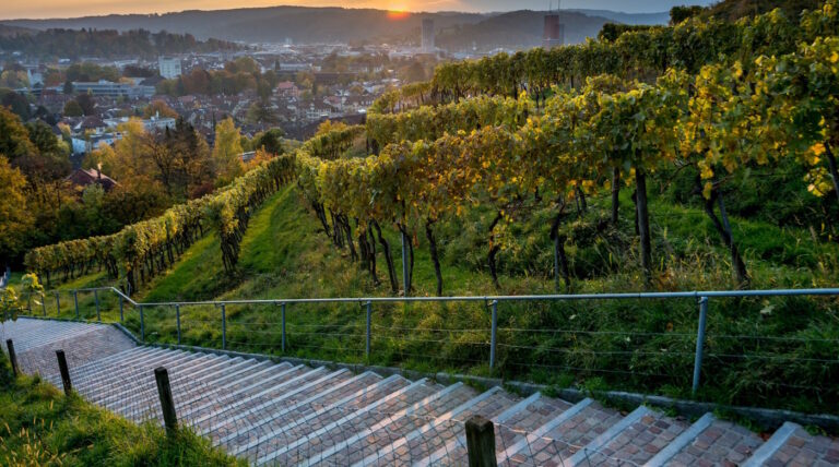 Diskreter Escortservice in Winterthur Schweiz